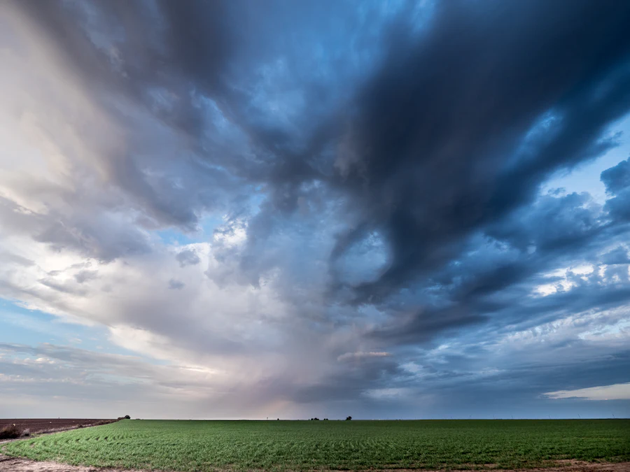 Green Kansas field under a blue sky