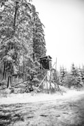 A snowy forest scene with tall, snow-covered trees surrounding a wooden hunting stand elevated on a rustic frame. The ground is blanketed with snow, and sparse vegetation is visible around the area. The atmosphere is calm and serene, with the monochrome palette enhancing the wintery ambiance.