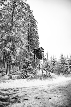 A snowy forest scene with tall, snow-covered trees surrounding a wooden hunting stand elevated on a rustic frame. The ground is blanketed with snow, and sparse vegetation is visible around the area. The atmosphere is calm and serene, with the monochrome palette enhancing the wintery ambiance.