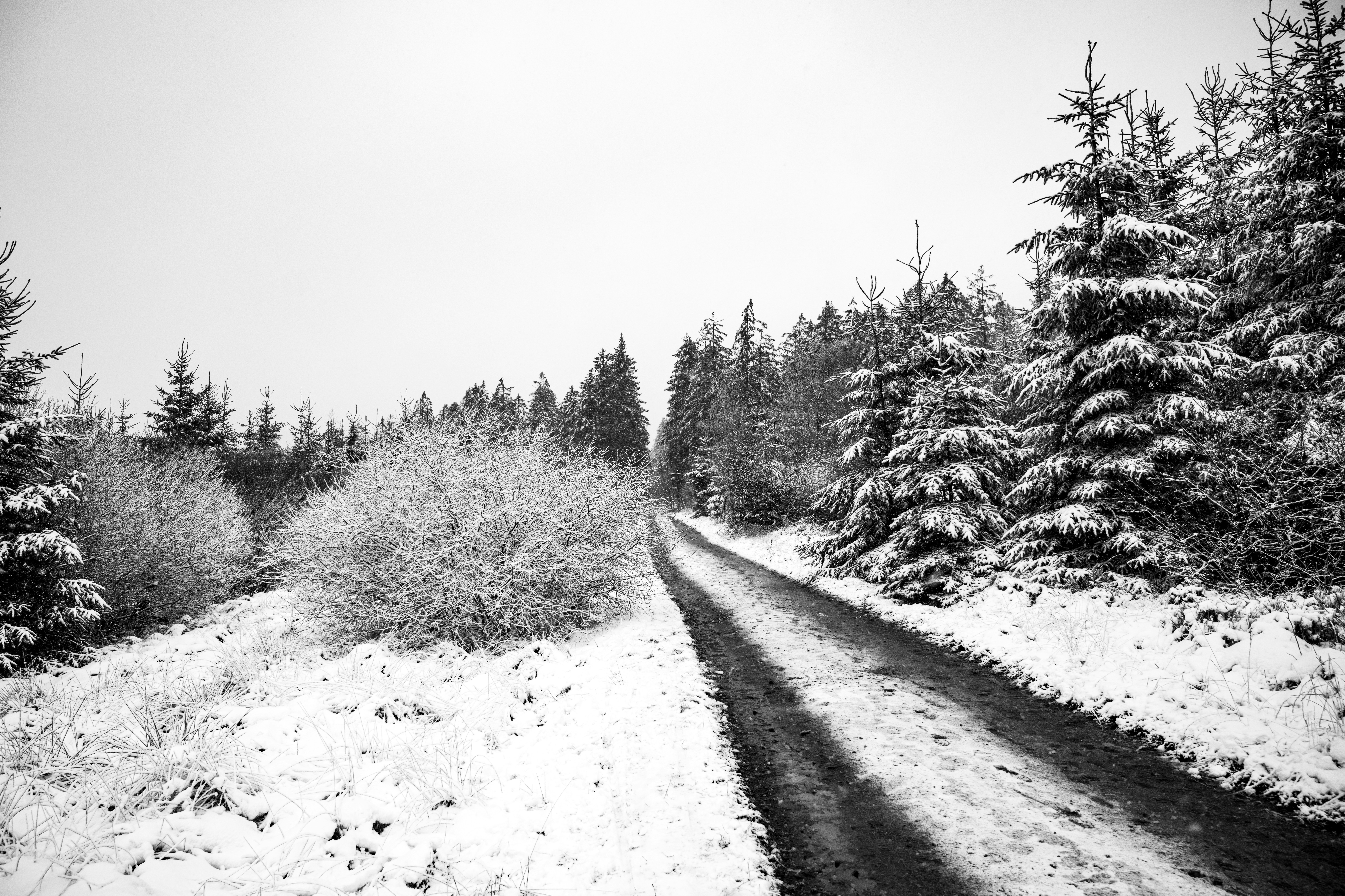 Photo by wydouwnicolas