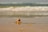 Close-up of a Sunshell bag resting on a sandy beach with seashells nearby.