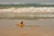 Close-up of a Sunshell bag resting on a sandy beach with seashells nearby.