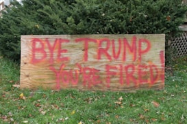 A wooden board with red spray-painted text reading 'BYE TRUMP YOU'RE FIRED!' is placed on grass, with a background of dense green shrubs. Fallen leaves lie scattered on the ground, adding an autumnal feel.