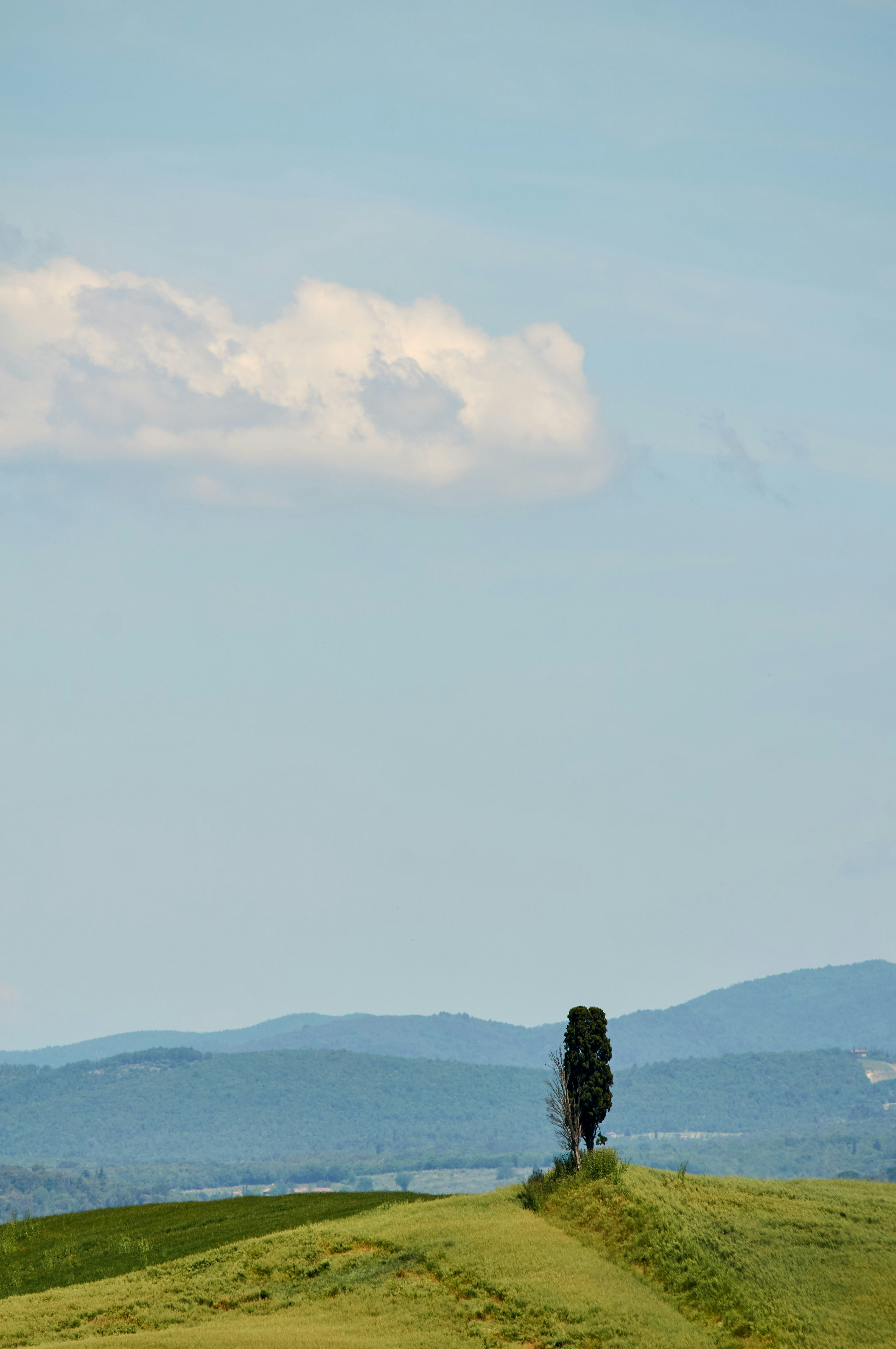 Photo by wolfgang_hasselmann