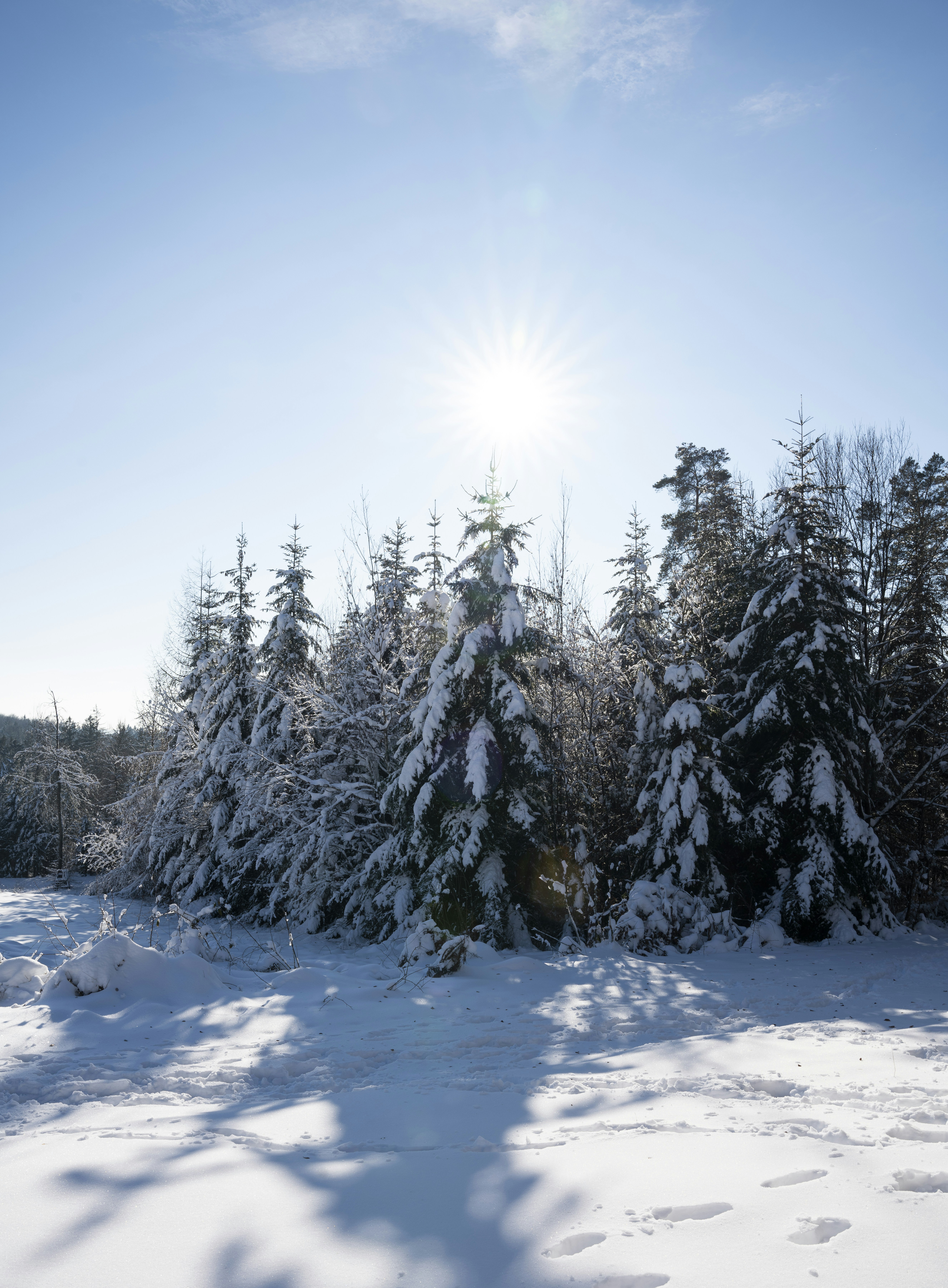 Photo by davidemrich