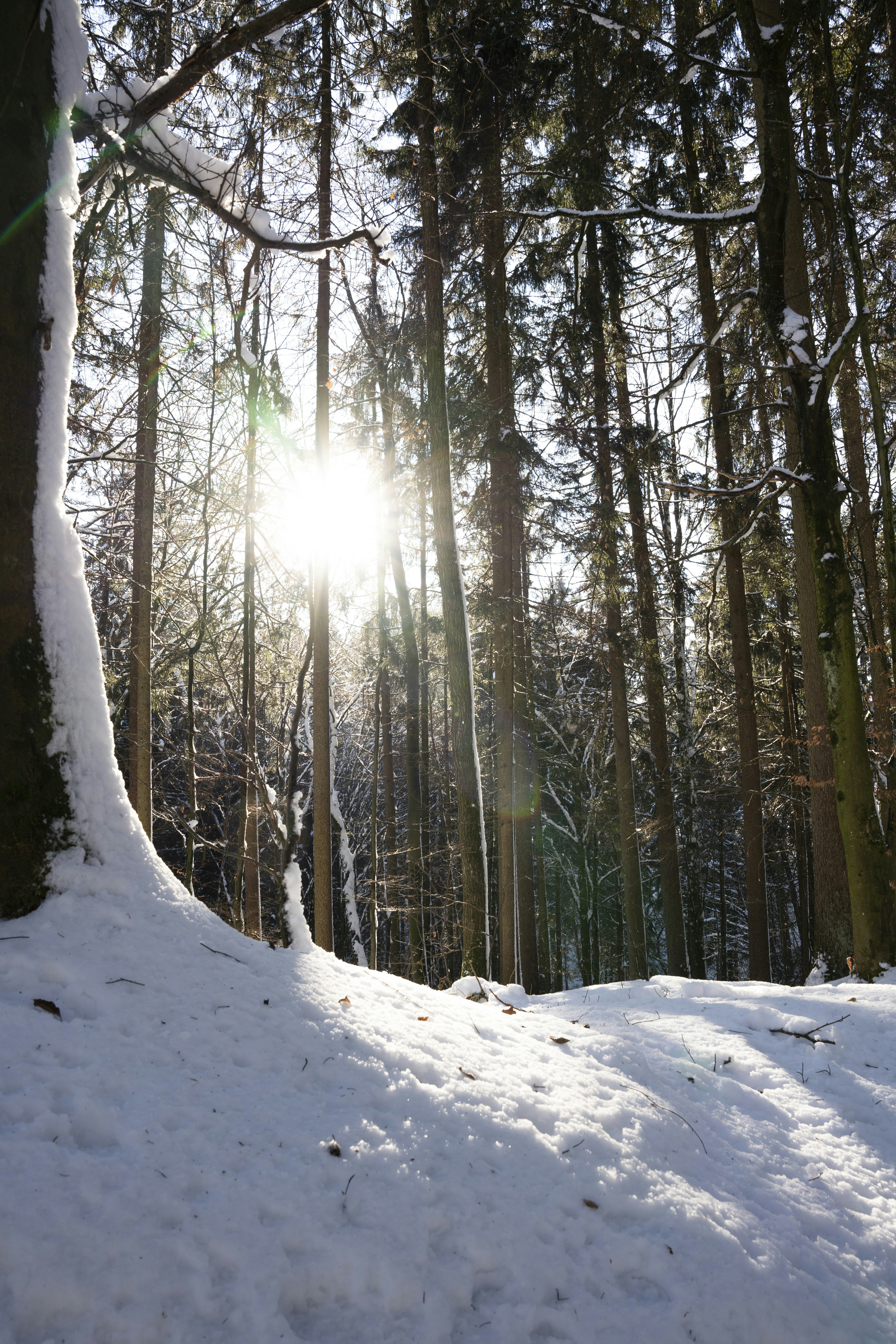 Photo by davidemrich