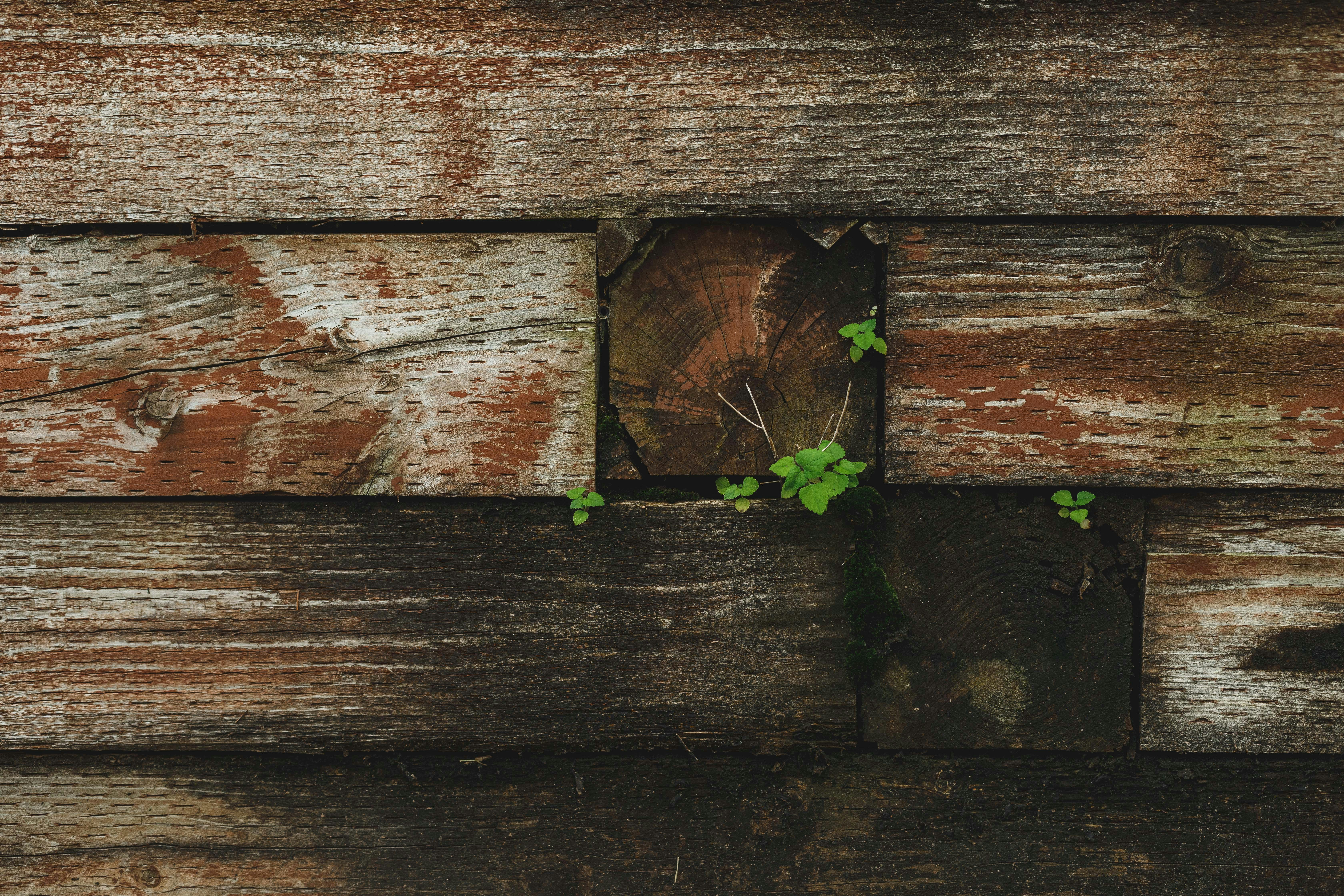 Photo by lukesouthern