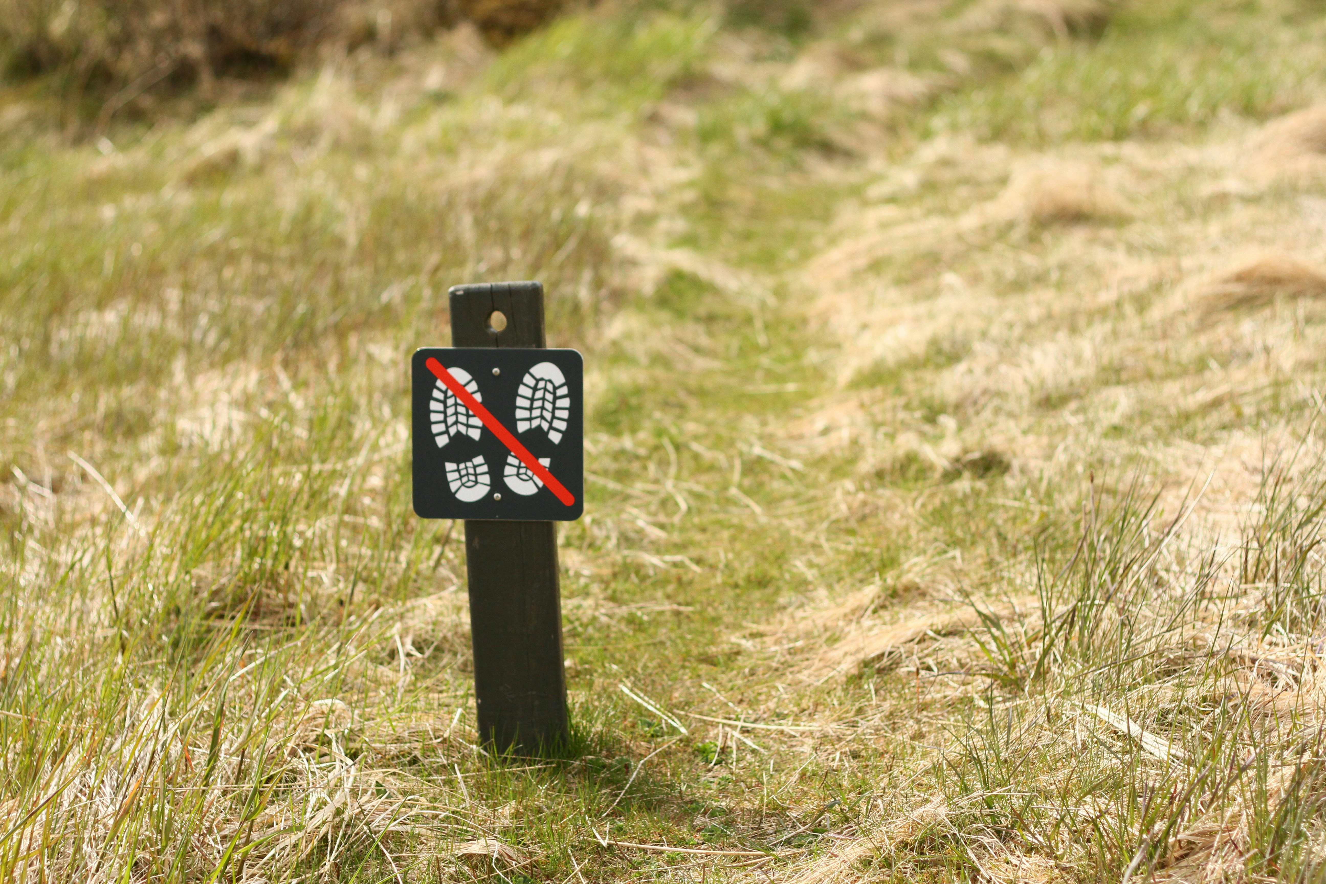 black and white signage on green grass field during daytime