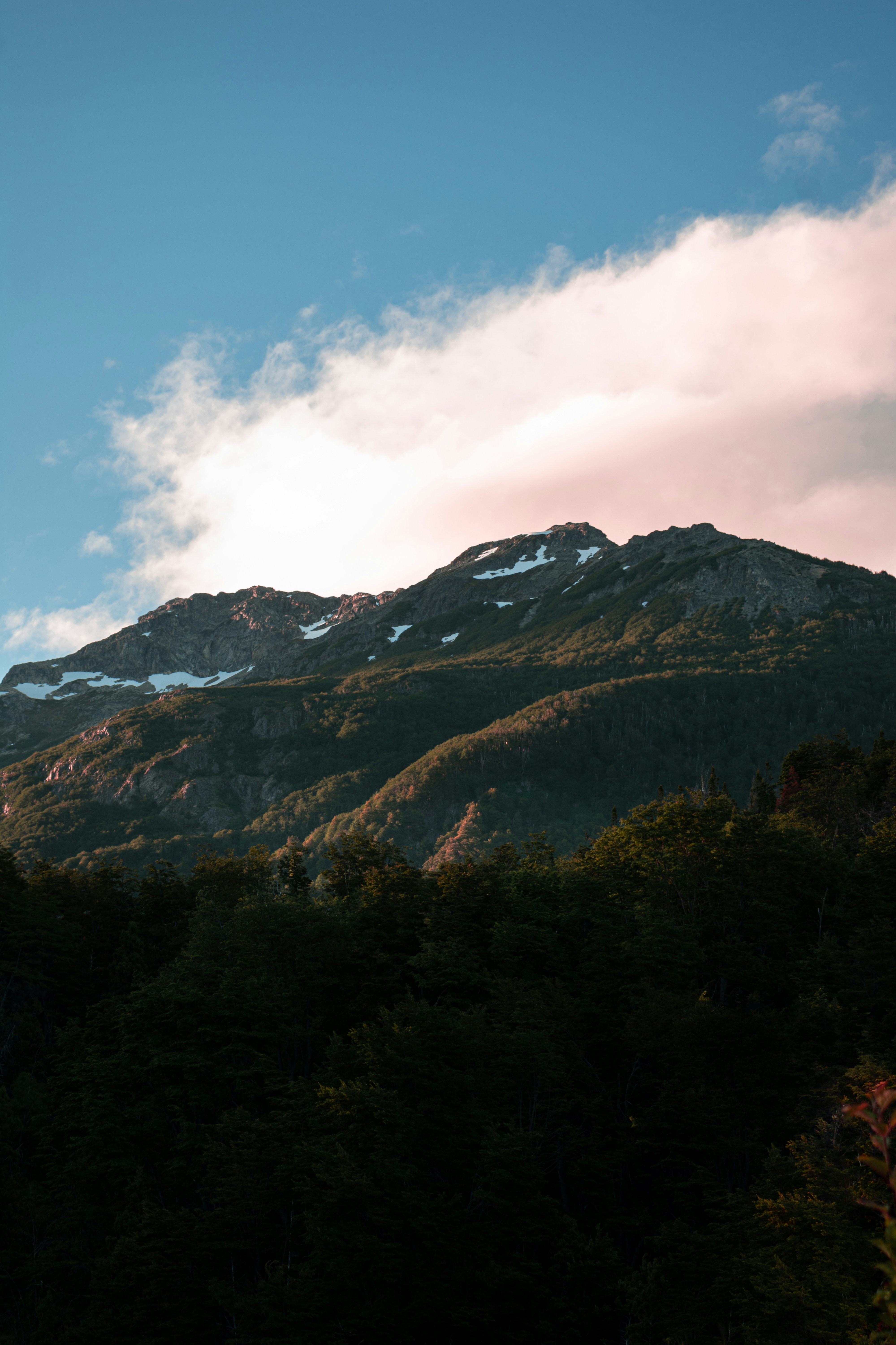 Photo by williamsiann