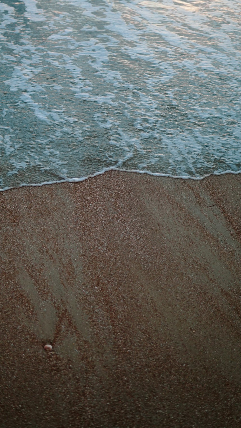 brown sand near body of water during daytime