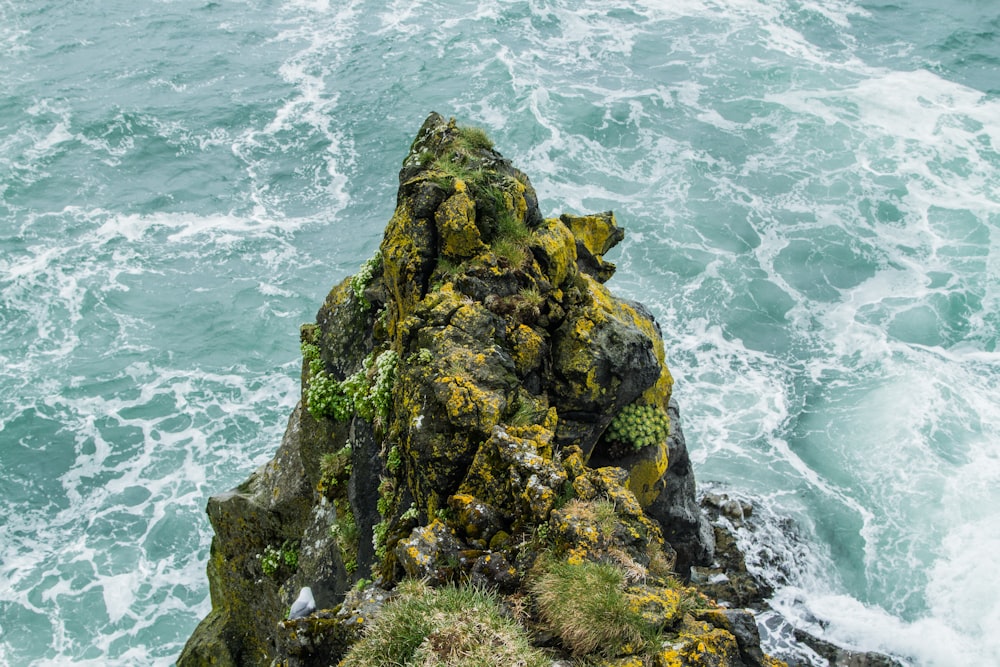 brown and green rock formation near body of water during daytime