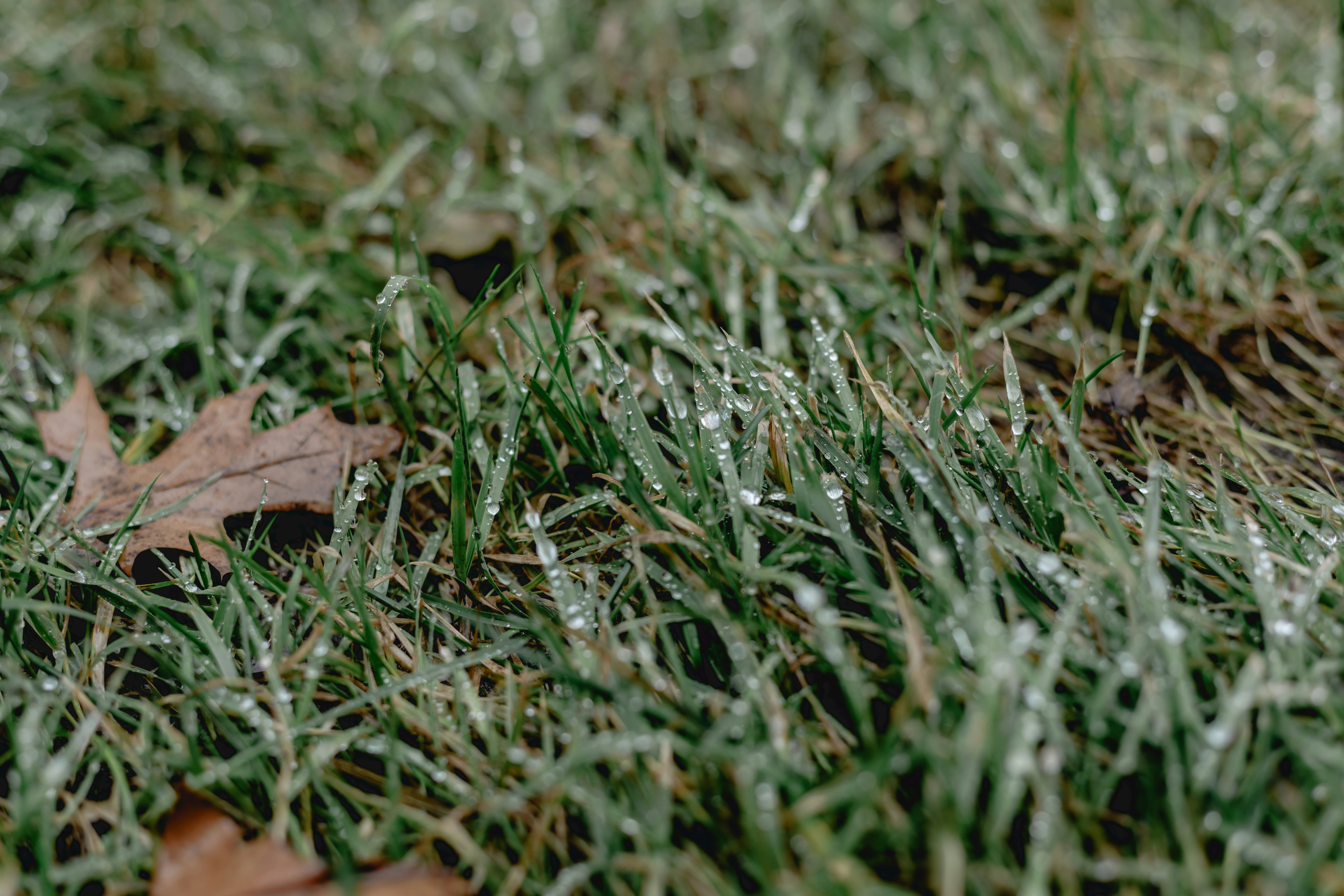 Photo by thephotographermom