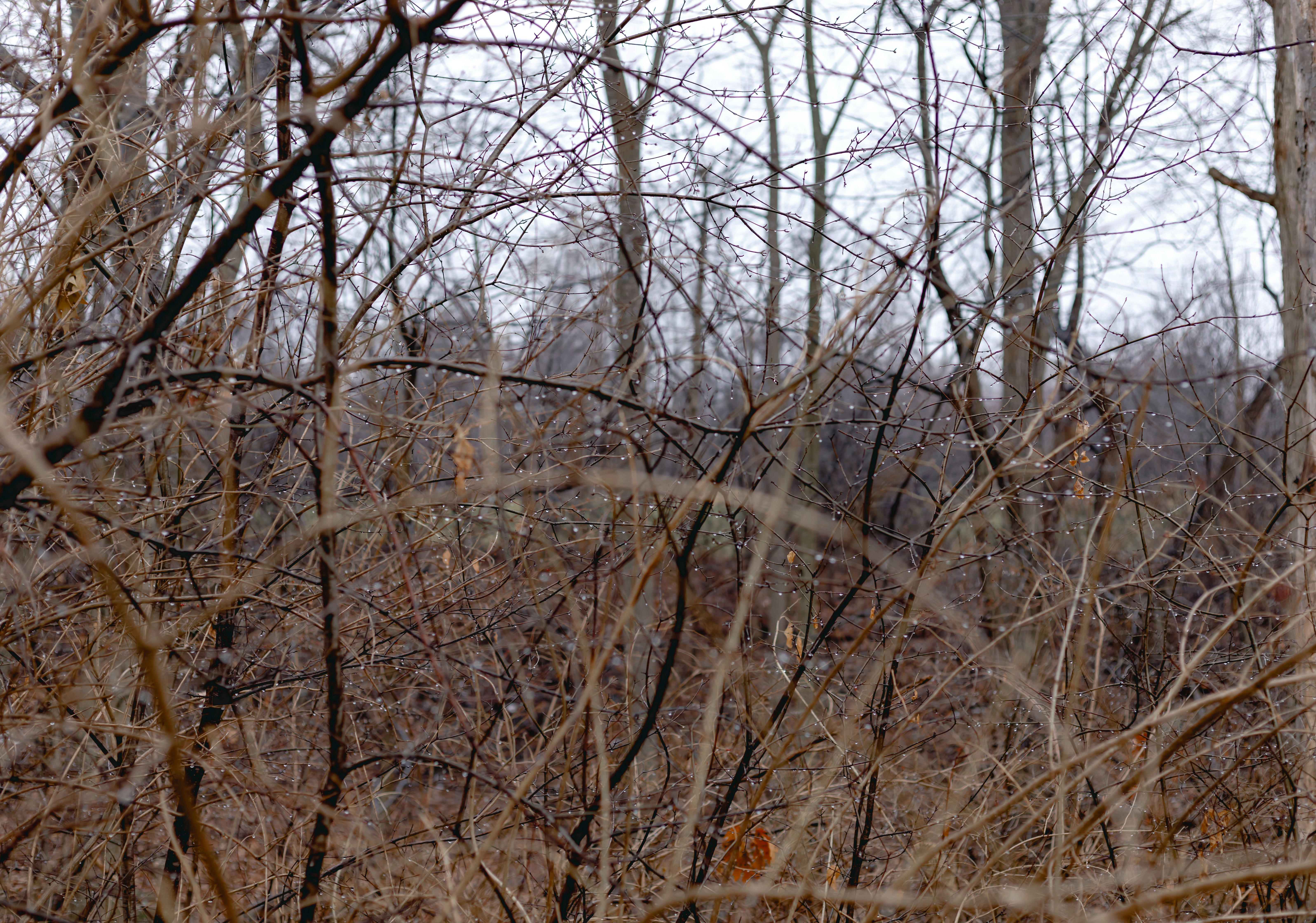 mindfulness wallpaper, wallpaper, Bisnis Insanul Fahmi: Peluang, Strategi, dan Tips Sukses 5