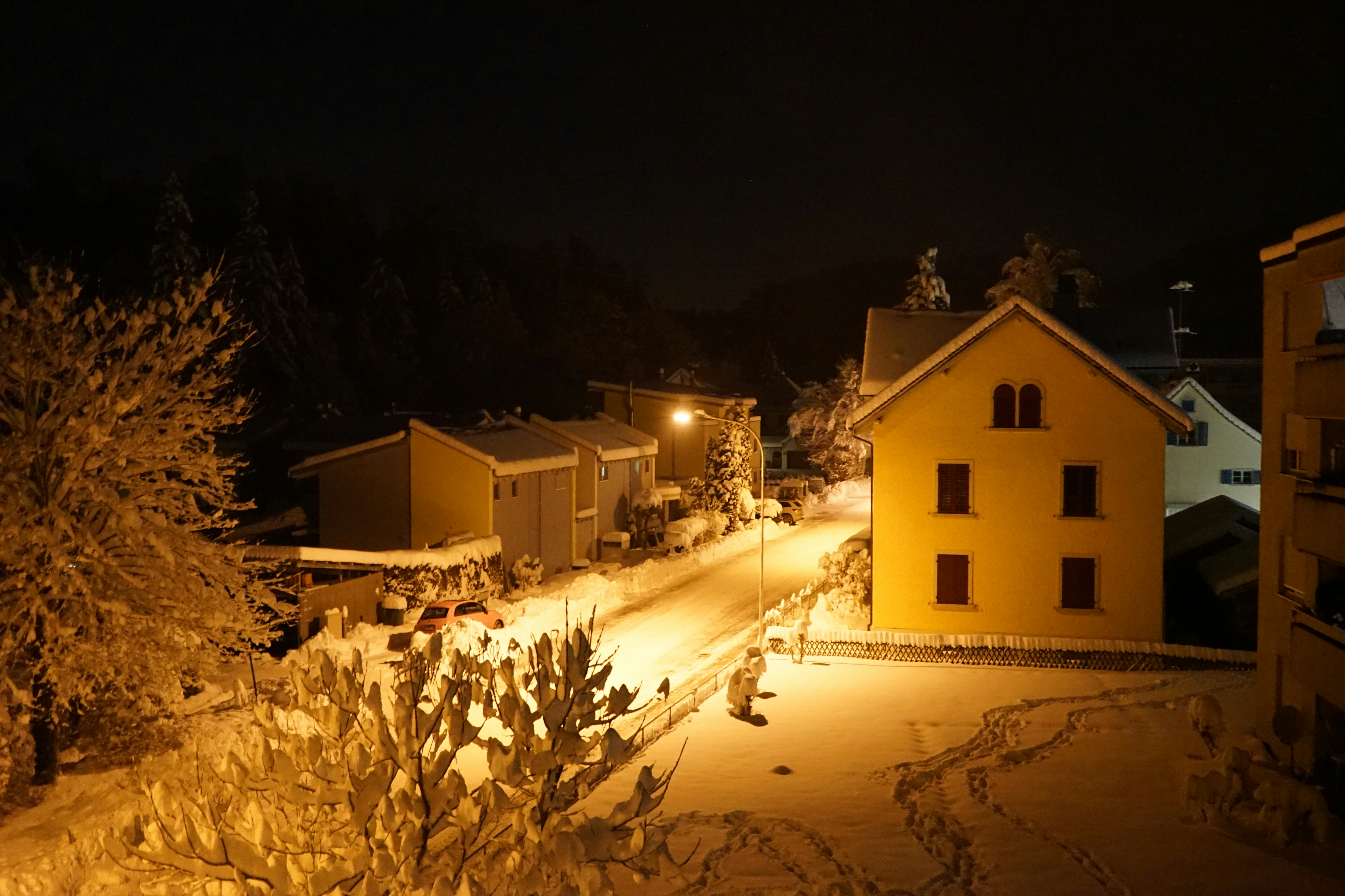 white concrete house near trees during night time
