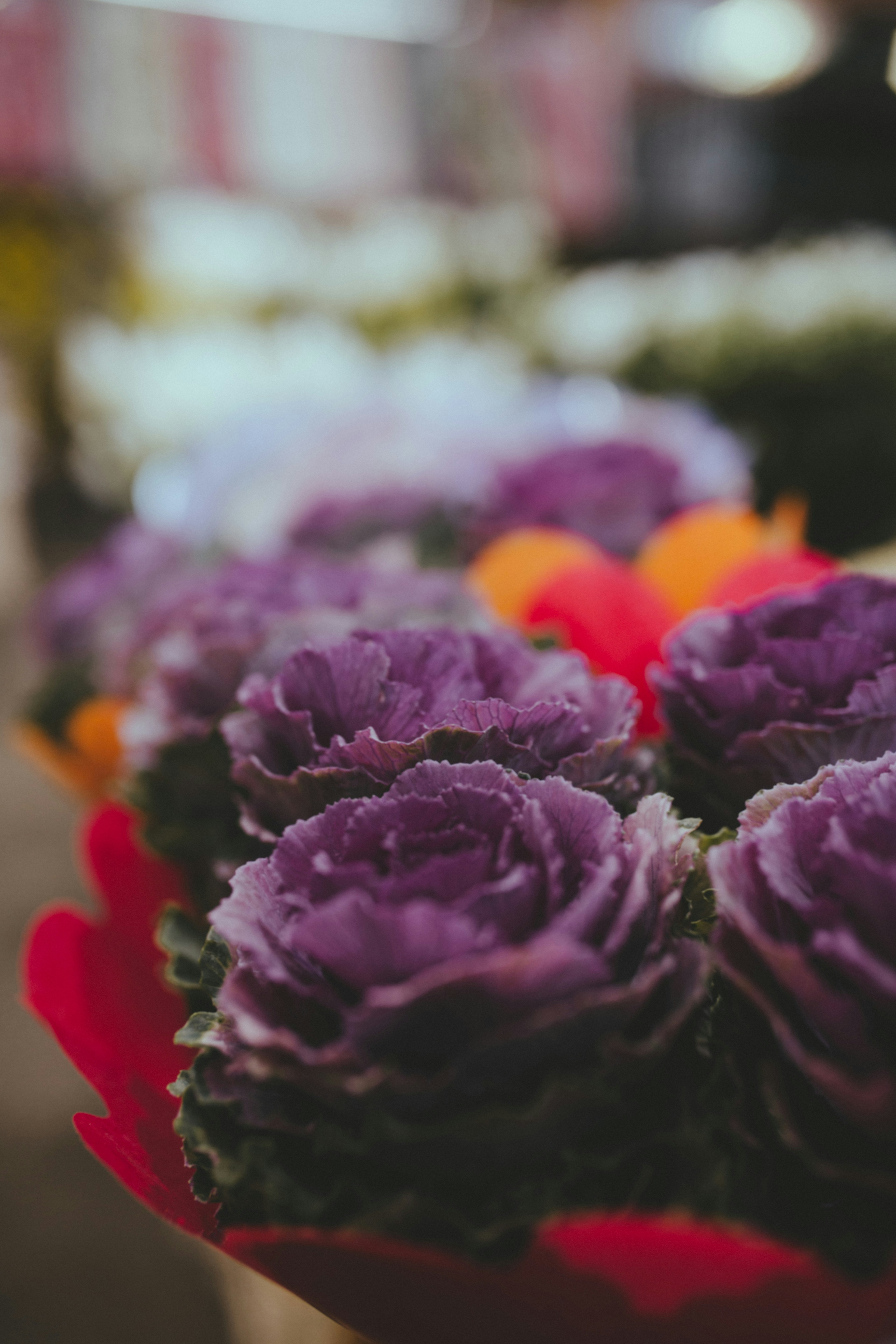 Photo by i_am_simoesse