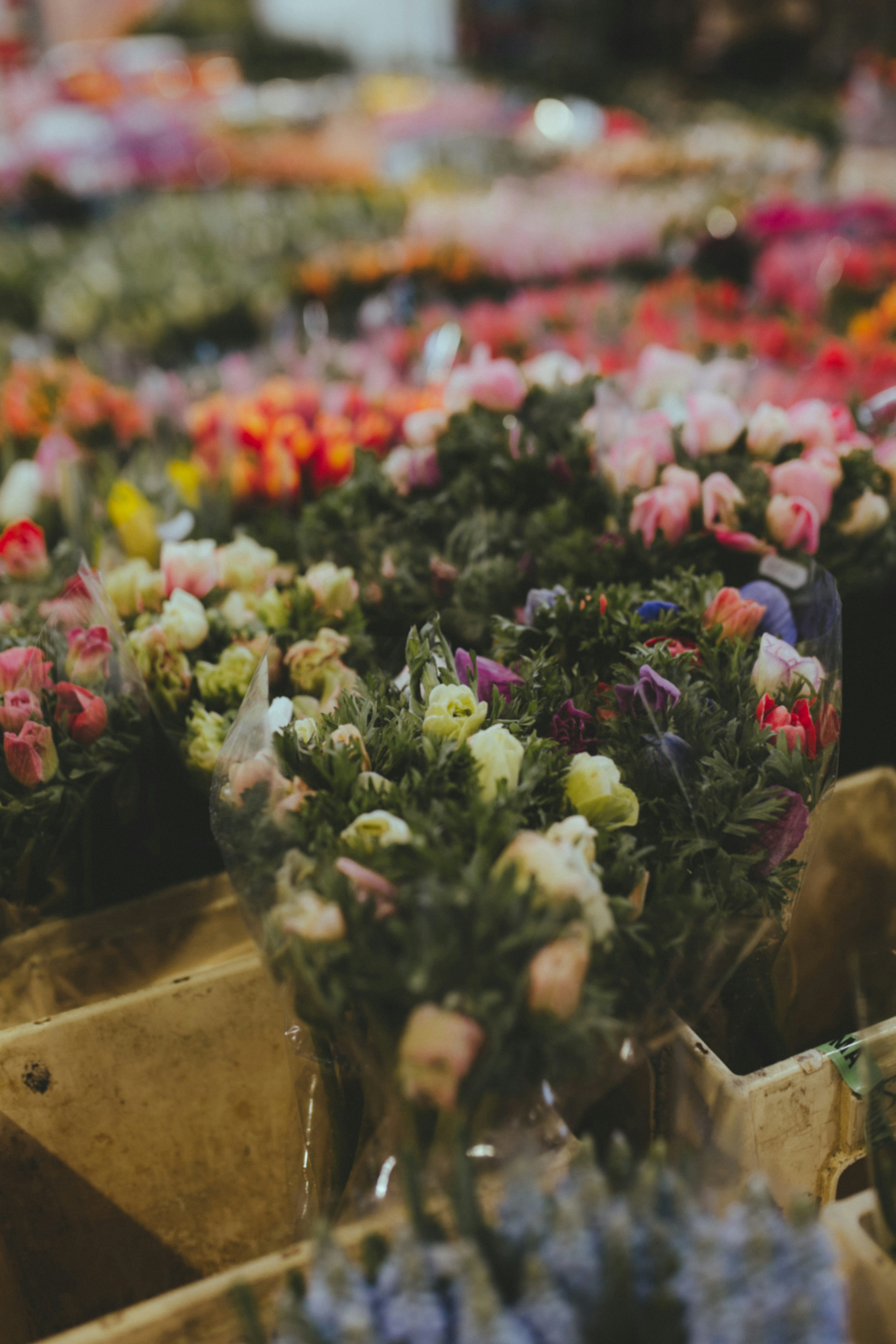 Photo by i_am_simoesse