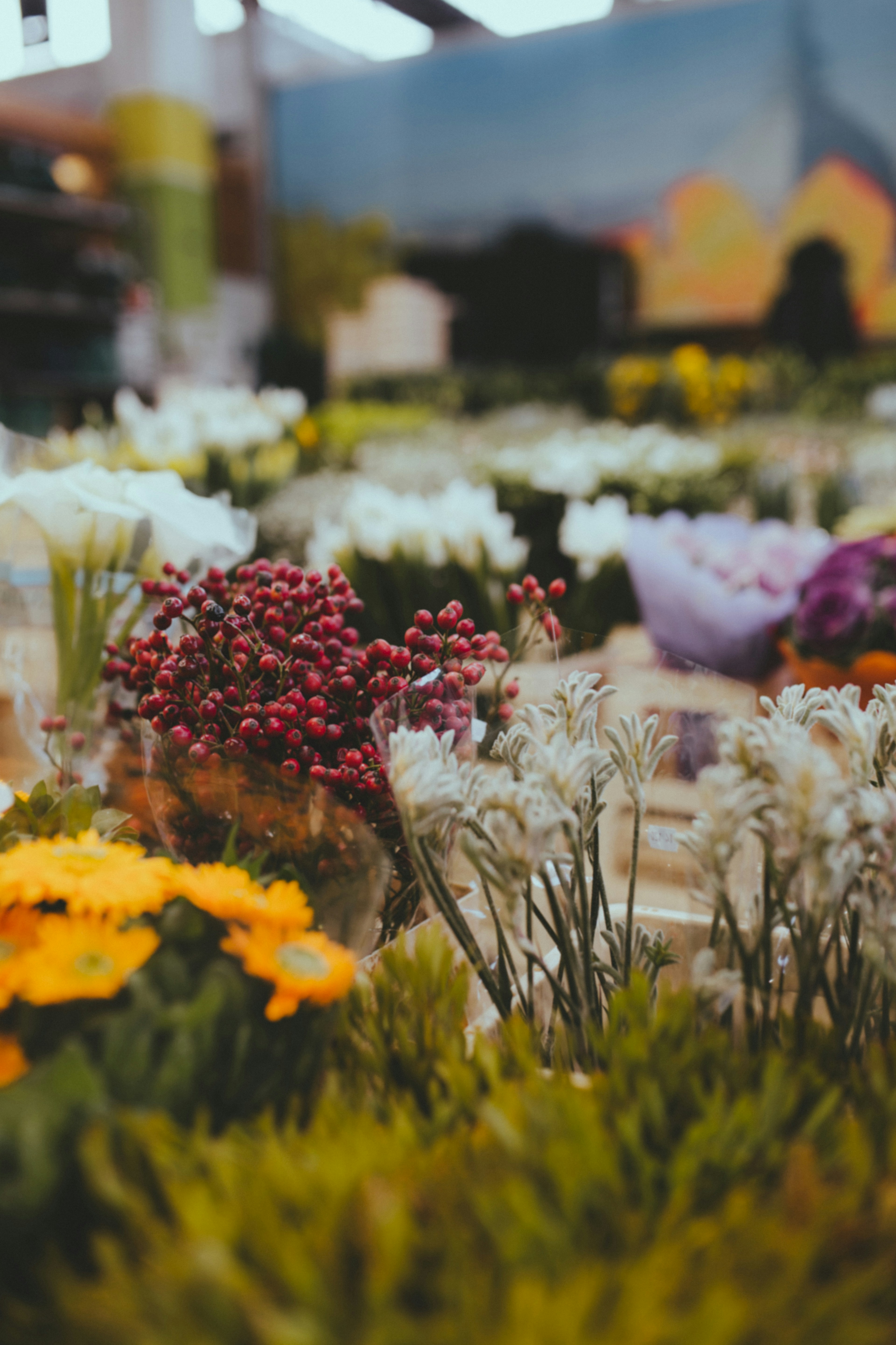 Photo by i_am_simoesse