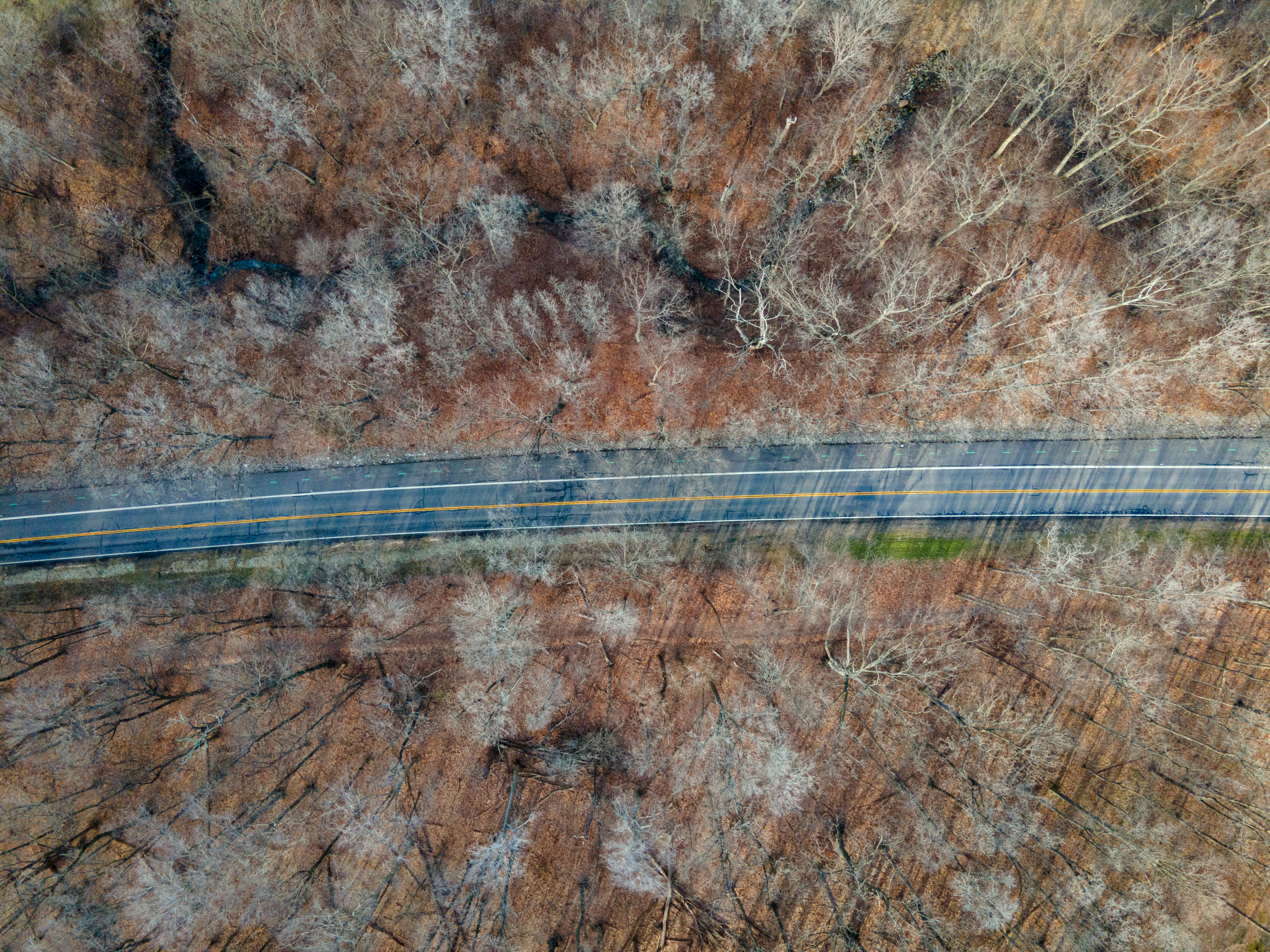 Photo by drkolomiyets