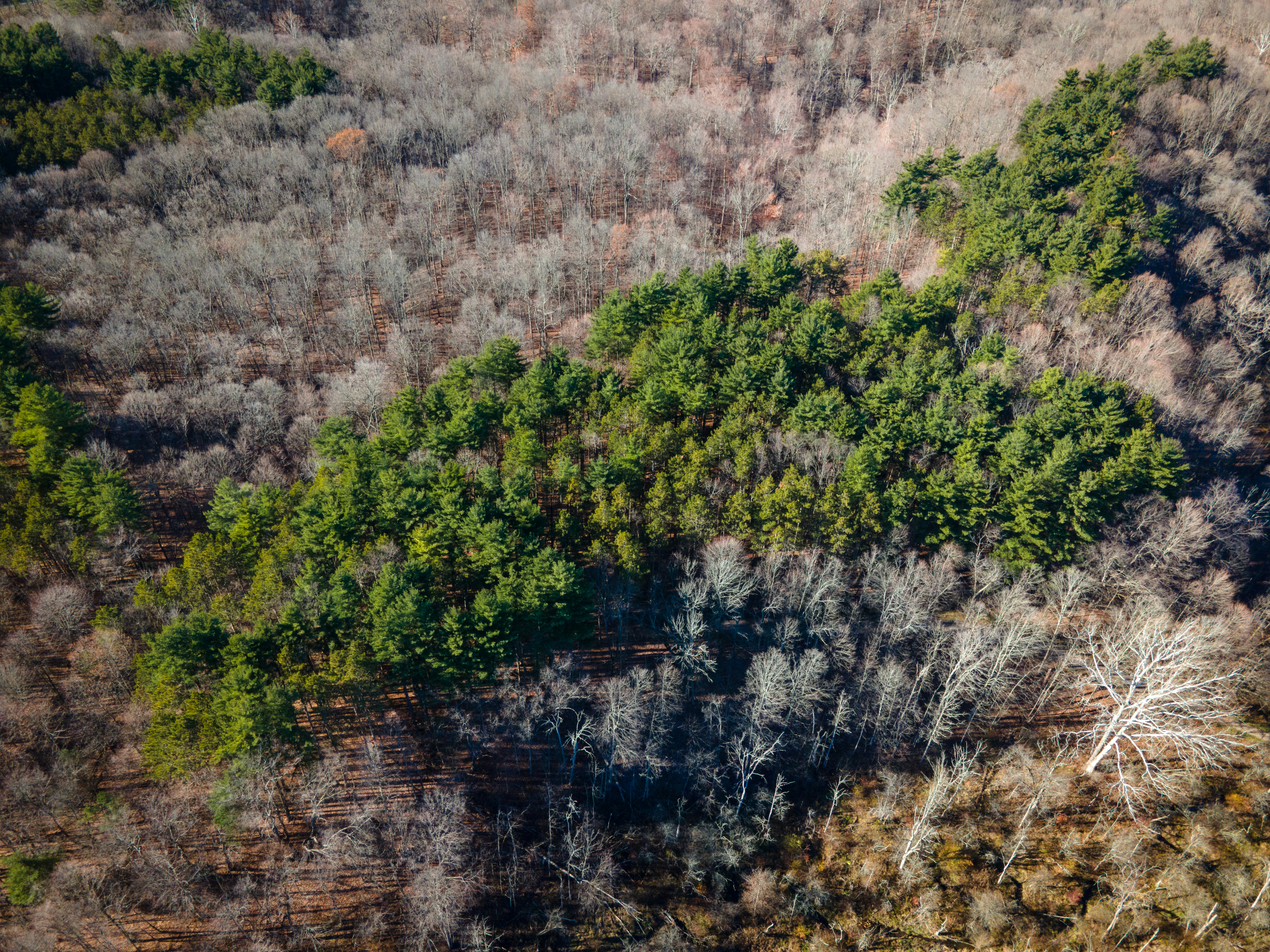 Photo by drkolomiyets