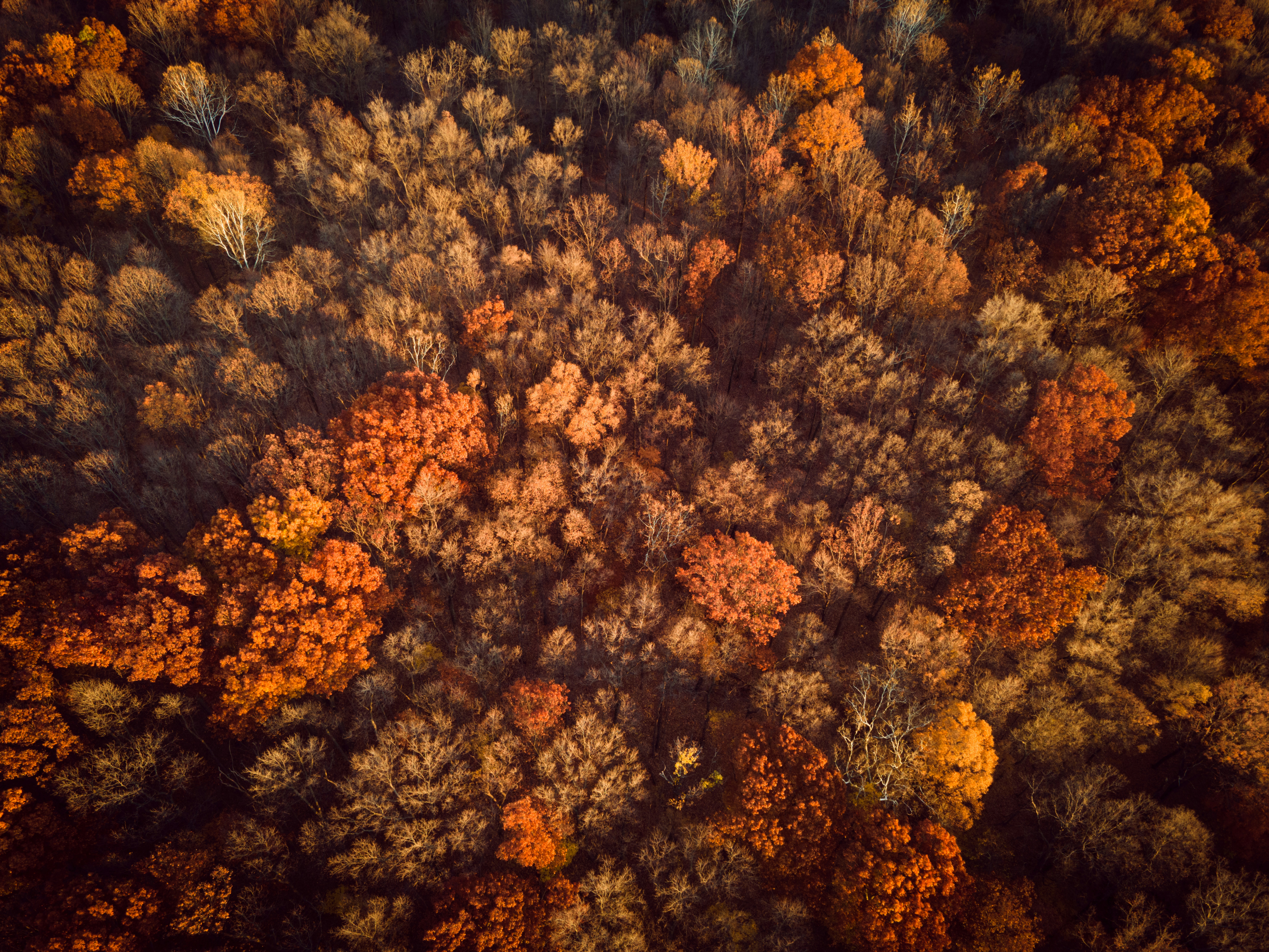 Photo by drkolomiyets