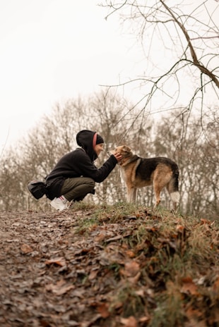 A proud owner gently holding their alert, strong-looking German Shepherd puppy close.