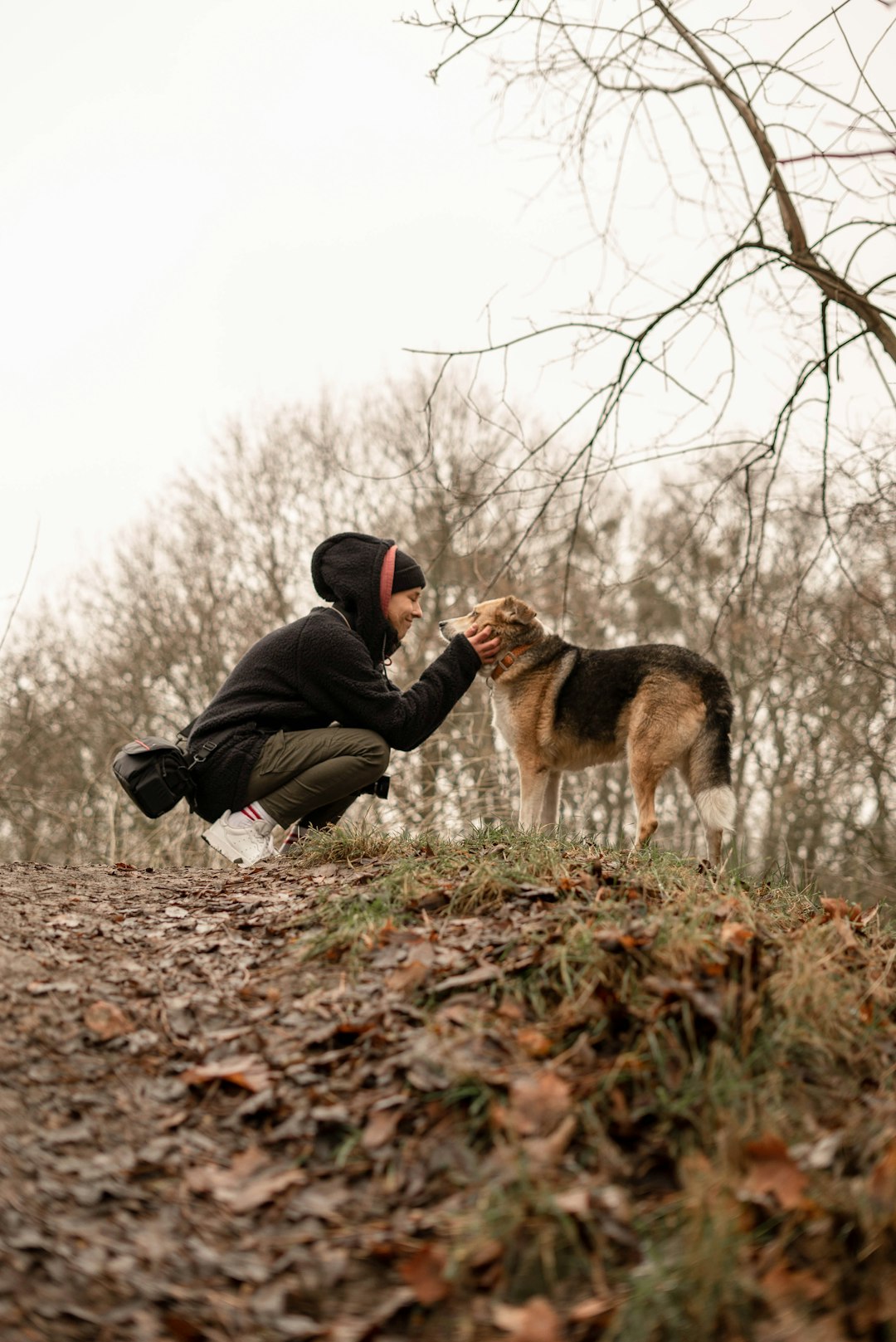 man in black jacket and black pants sitting on brown dried leaves beside brown and black