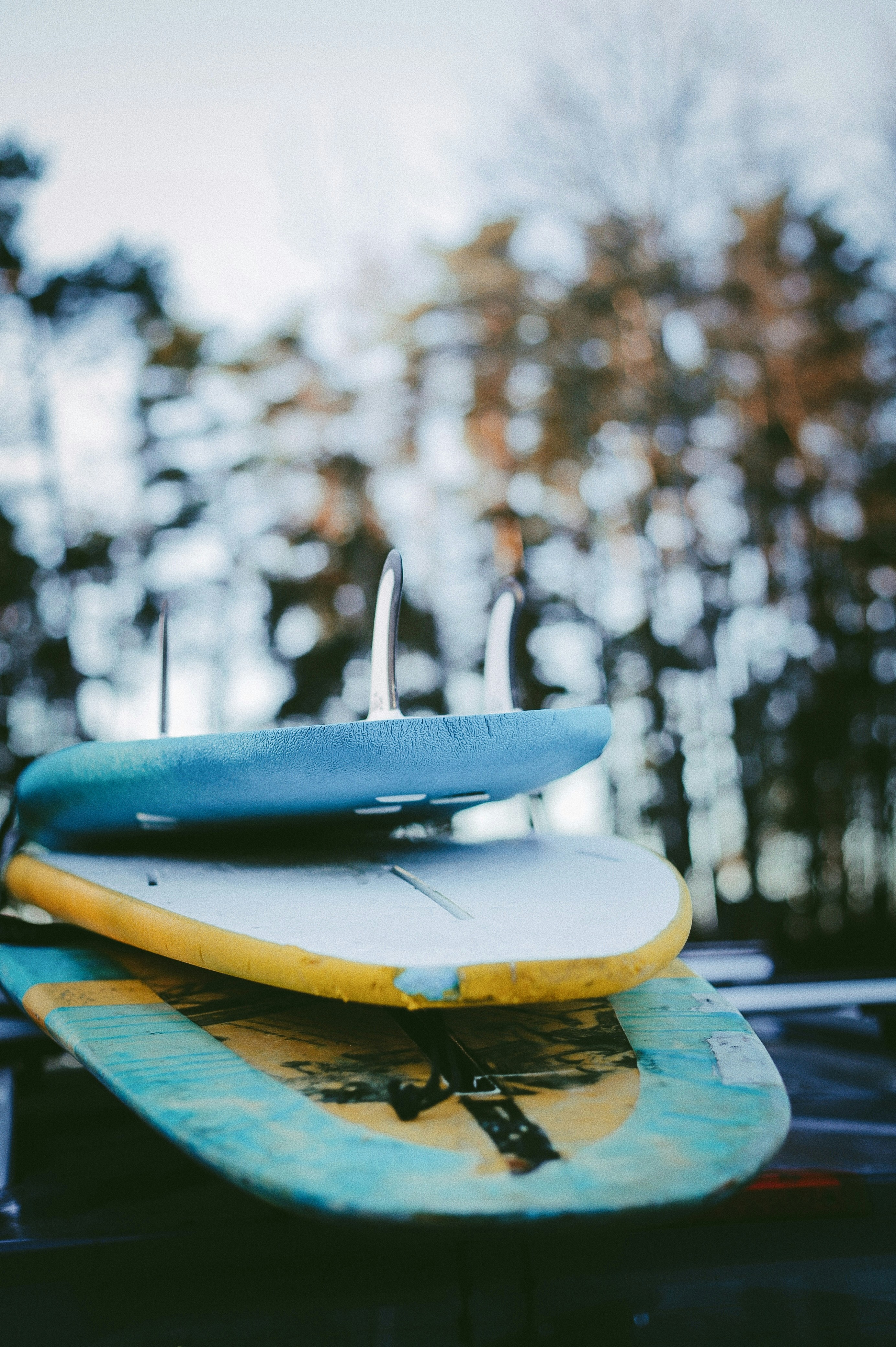 Photo by lizazebreva