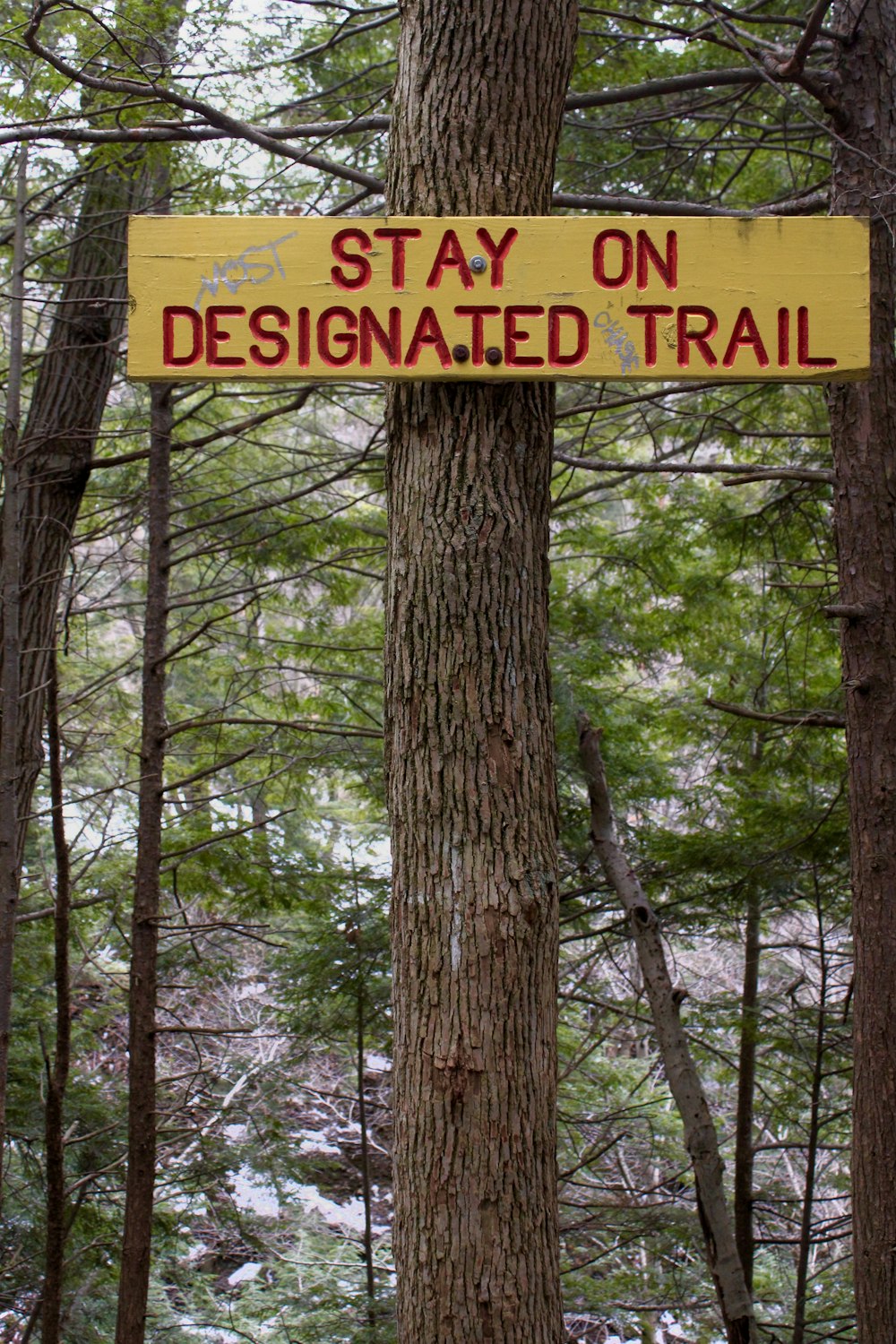 brown and black wooden signage