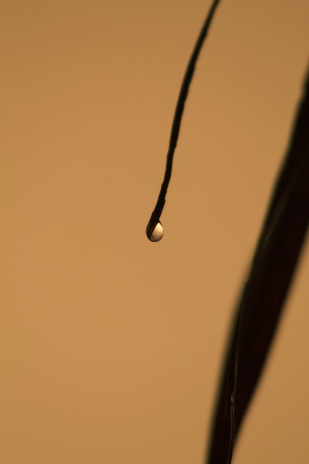 water dew on black coated wire