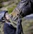 A person wearing a riding helmet and braided hair is affectionately kissing the nose of a horse. The person is dressed in equestrian gear and appears to be holding the bridle of the horse. The background consists of a blurred natural landscape with green foliage.