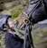 A person wearing a riding helmet and braided hair is affectionately kissing the nose of a horse. The person is dressed in equestrian gear and appears to be holding the bridle of the horse. The background consists of a blurred natural landscape with green foliage.