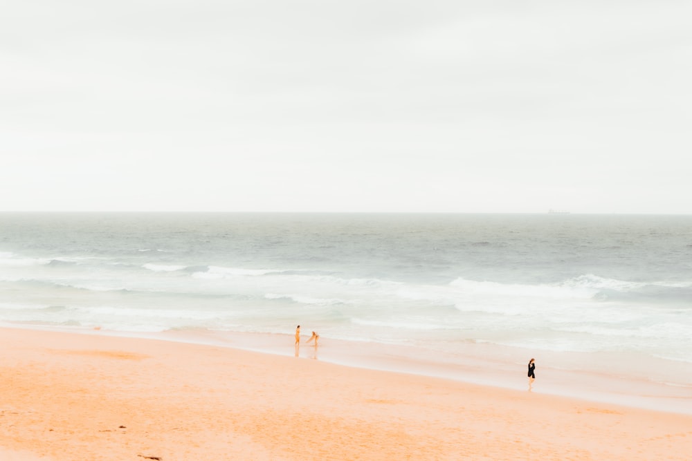 people on beach during daytime