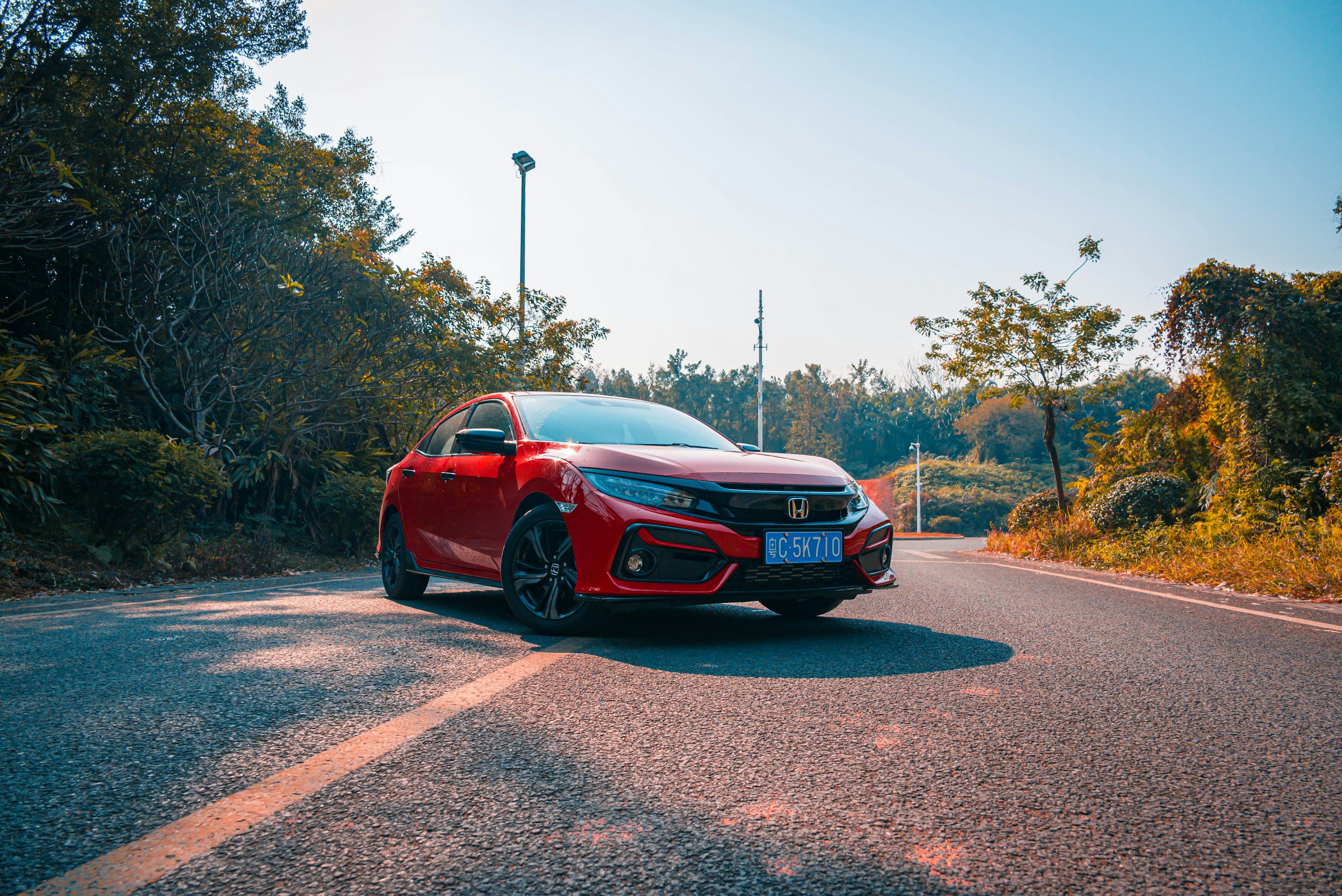 red chevrolet camaro on road during daytime
