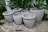 A collection of six large, empty, gray concrete planters of varying sizes arranged on a stone tiled floor. They are set against a lush green backdrop of tropical foliage, creating a contrast between the natural greenery and the stark solidity of the planters.