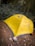 A yellow tent is pitched on a dirt surface surrounded by dense, green forest. The tent is marked with a brand name and has rocks at its base to secure it. Debris like small rocks and litter are scattered on the ground.