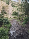 A serene forest landscape with a small creek meandering through lush greenery and tall trees. In the background, a tent is set up among the trees, suggesting a campsite in the peaceful wilderness.