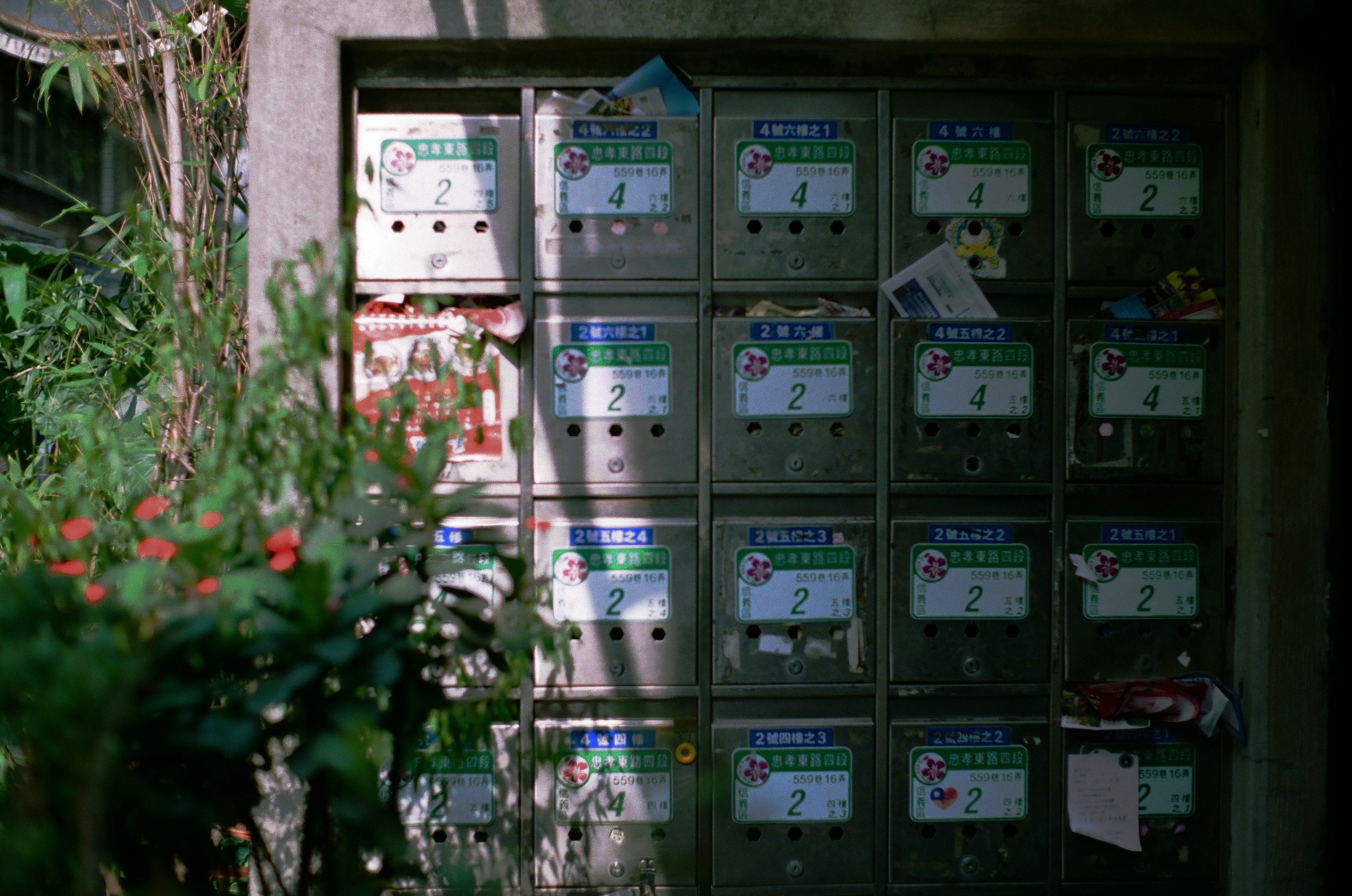 Photo by hanzlog