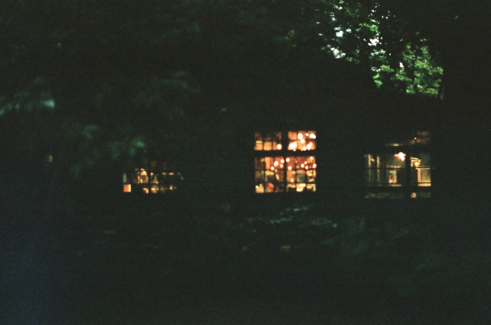 Árboles verdes cerca de Brown Wooden House durante la noche