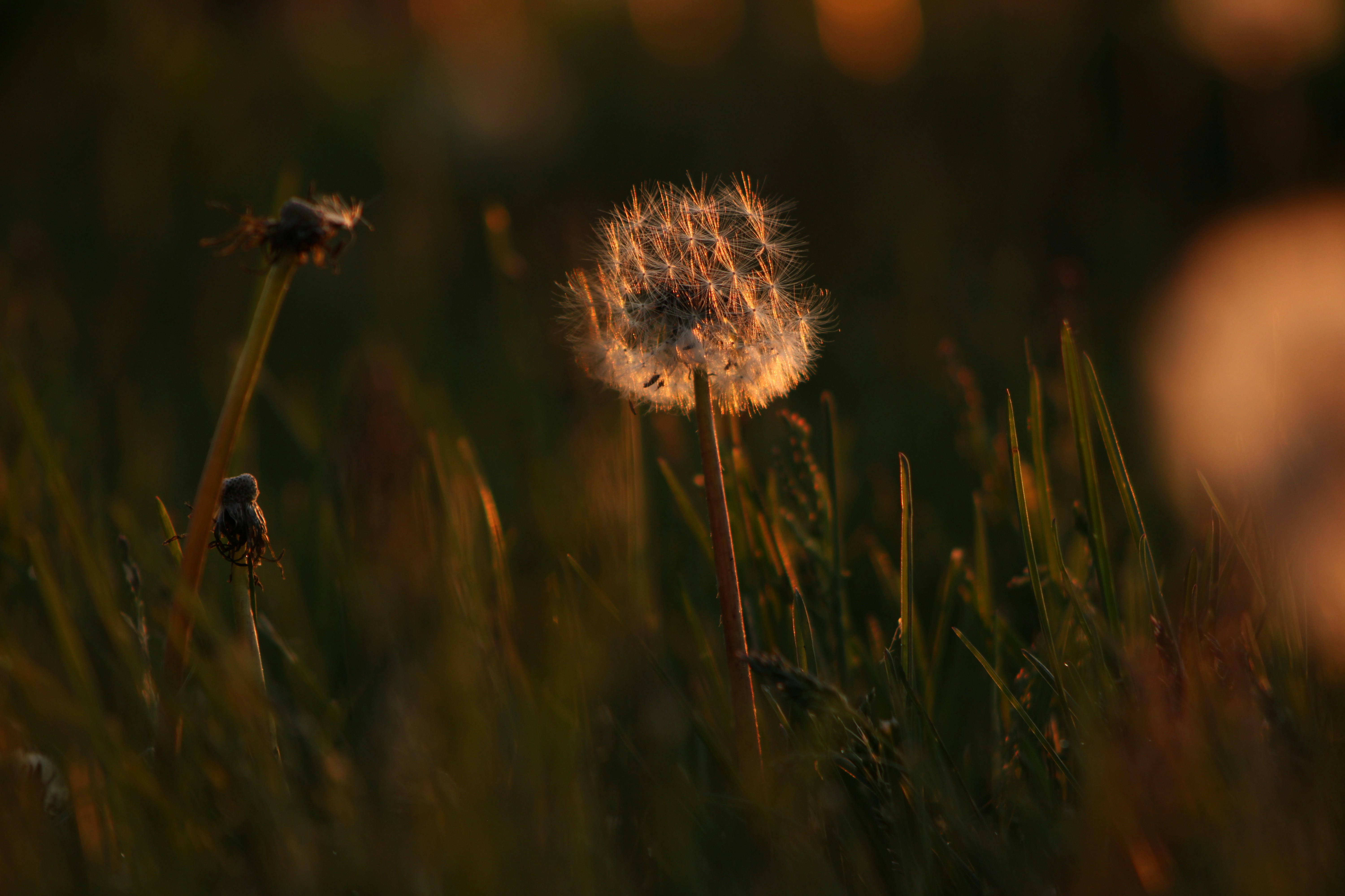 Photo by erro_images