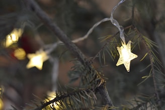 Brightly colored biodegradable star-shaped decorations glowing softly on a Christmas tree.