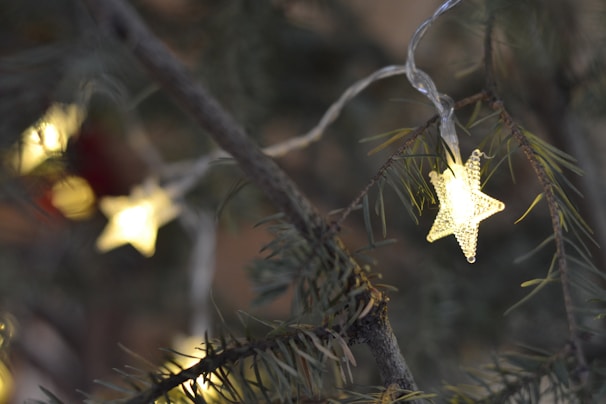 Brightly colored biodegradable star-shaped decorations glowing softly on a Christmas tree.