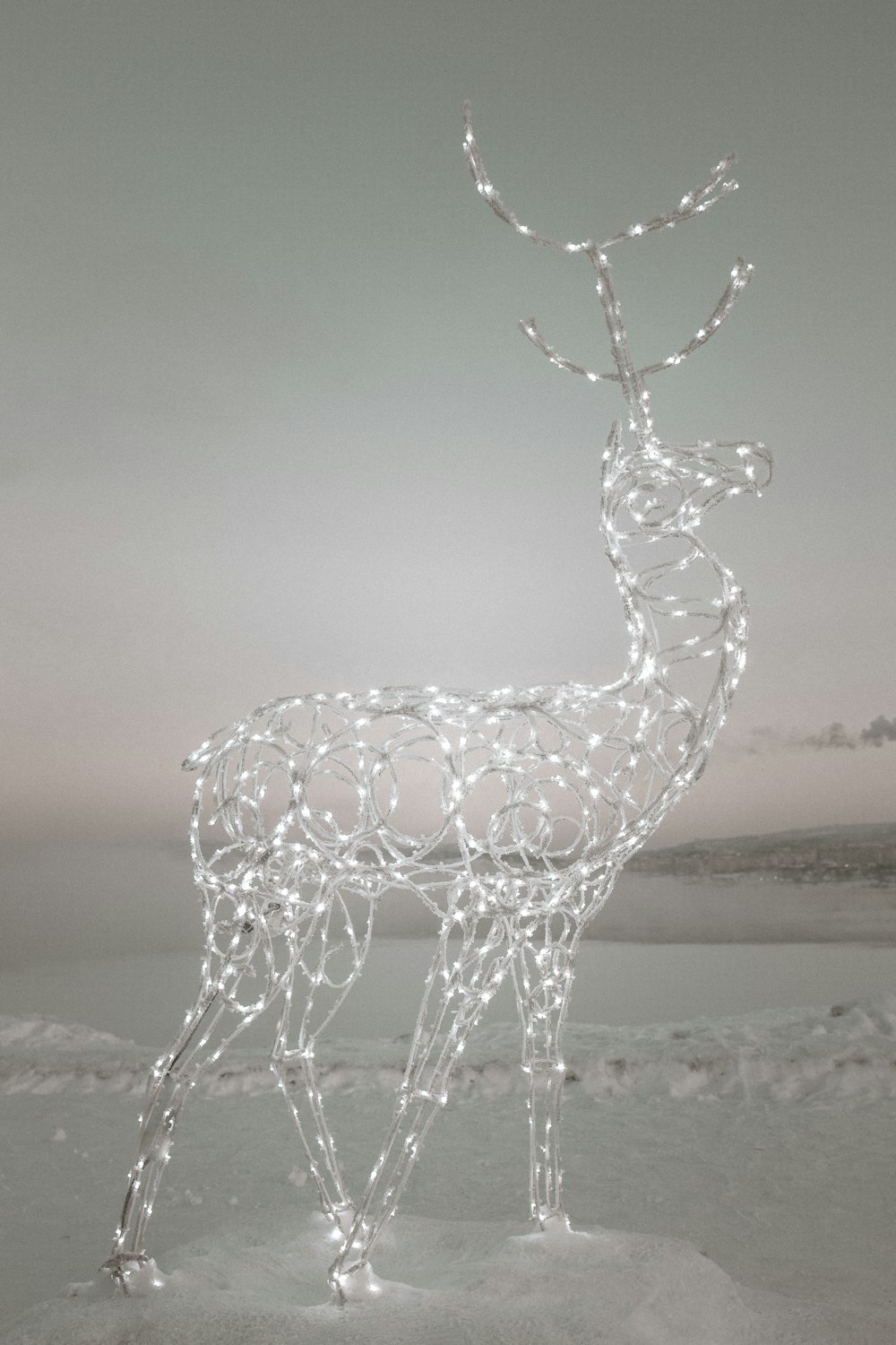 clear glass deer figurine on beach shore