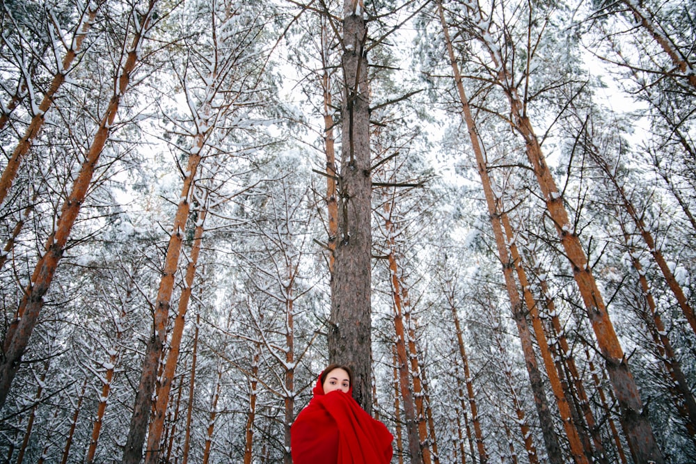 woman in red jacket standing in front of brown bare trees during daytime
