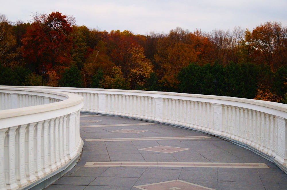 white concrete bridge near green trees during daytime