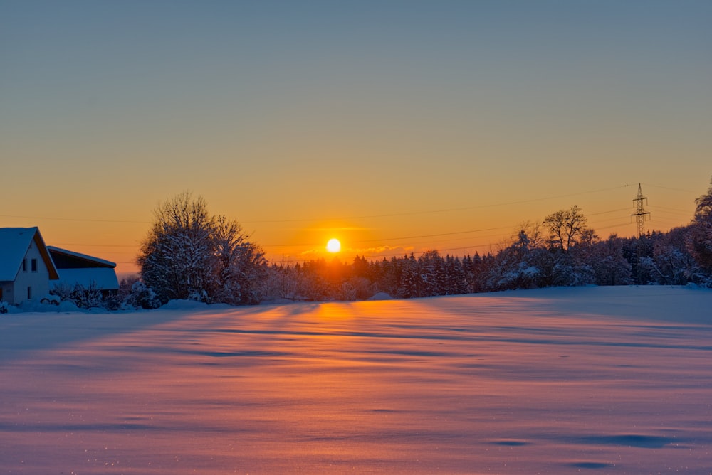trees on snow covered field during sunset