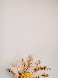 A bouquet of dried flowers and plants is placed against a plain, light-colored wall. The arrangement features a variety of textures and forms, including soft grasses, fluffy pampas, and rounded brown leaves. The centerpiece is a cluster of yellow dried flowers, adding a vibrant pop of color to the neutral tones.