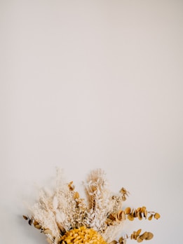 A bouquet of dried flowers and plants is placed against a plain, light-colored wall. The arrangement features a variety of textures and forms, including soft grasses, fluffy pampas, and rounded brown leaves. The centerpiece is a cluster of yellow dried flowers, adding a vibrant pop of color to the neutral tones.