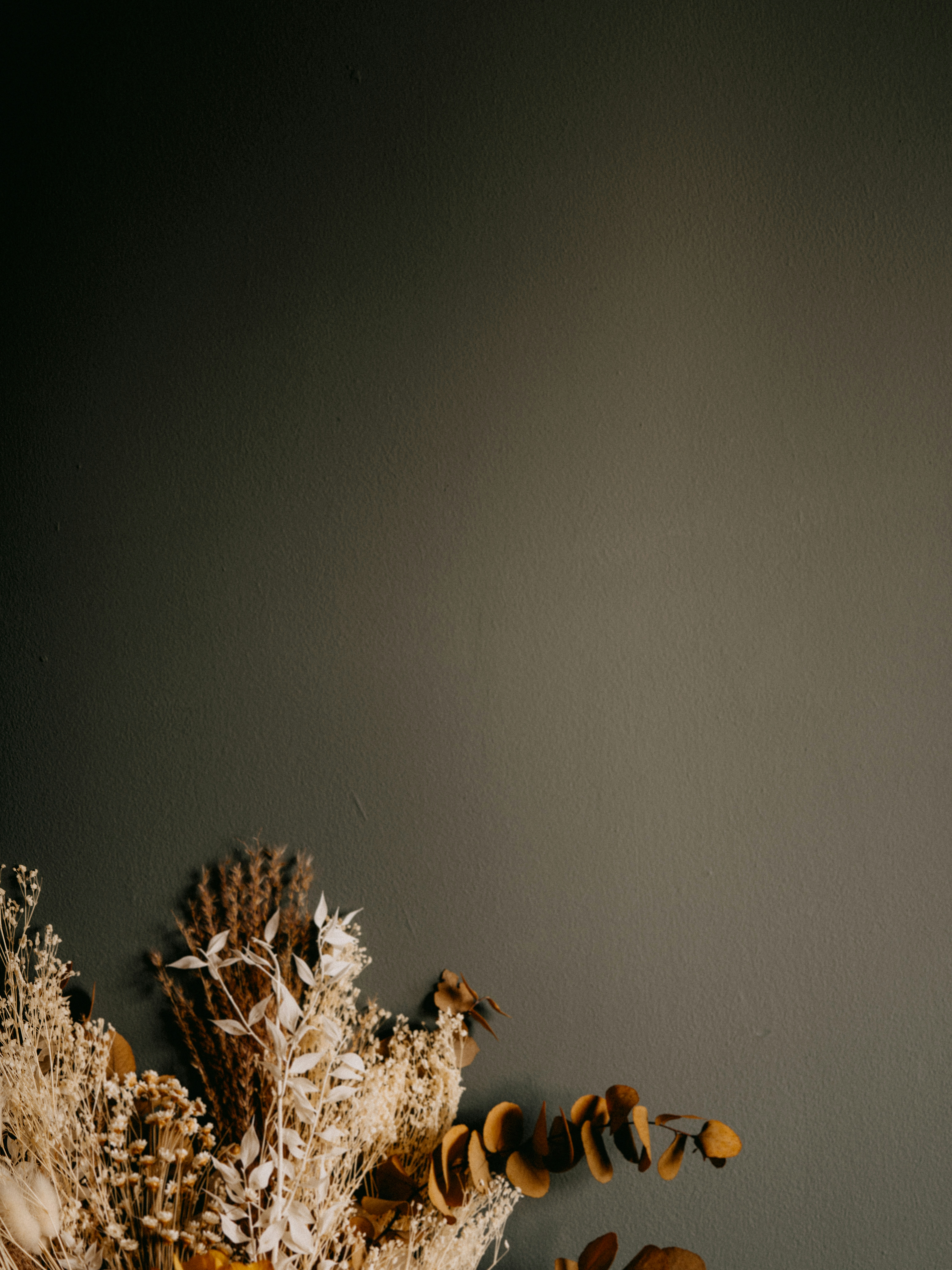 Photo by anniespratt