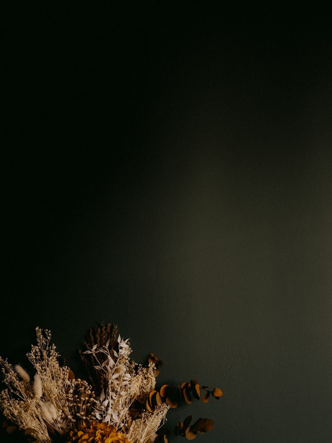 brown and white flower in close up photography