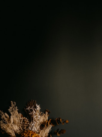 A composition of dried flowers and foliage positioned in the lower corner against a dark, muted background. The arrangement includes various types of plants, with some leaves and stalks appearing delicate and wispy.